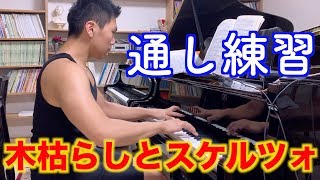 【Practice 】Chopin etude 25-11and scherzo no2