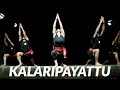 Kalaripayattu performanceshow  for booking 91 9711804975