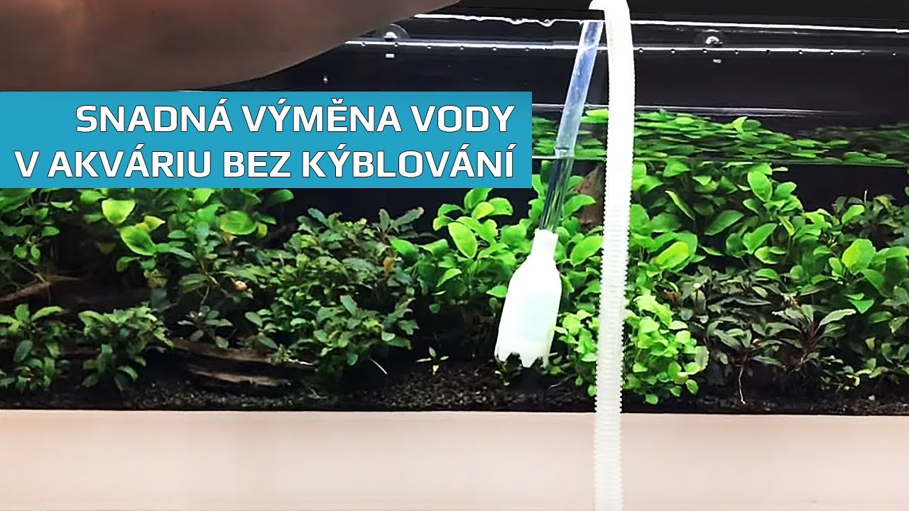 Snadná výměna vody v akváriu bez kýblování | SURPAN.cz