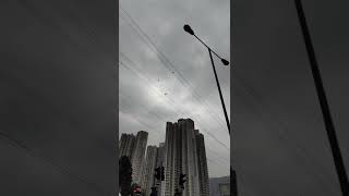 天水圍到屯門單車行@20201225