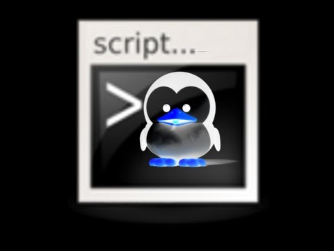 Shell Basics - If Then Else with Case Sensitive Strings - Linux - BASH