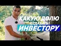 №10 Какую долю отдавать инвестору. Как распределяются доли в инвестиционной сделке.