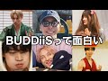 【BUDDiiS】って面白い!!
