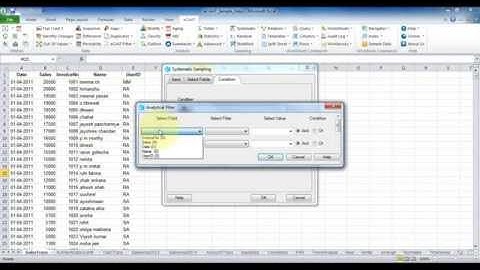 eCAAT functions - Sampling - Systematic - Intervals option (Condition)