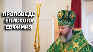 Проповедь епископа Евфимия Луховицкого в праздник Вербного Воскресения.