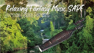Musik Penenang Pikiran [Instrumen sape