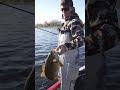 Catching the biggest bass of his life ( Insane smallie fishing ) #shorts