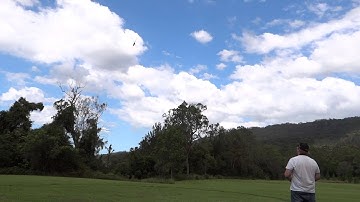 03/02/13 trex 700 e dfc