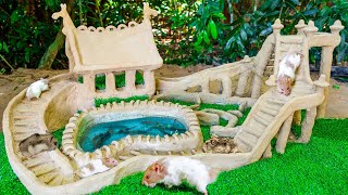 Build Awesome Hamster MAZE And Build Hamster House