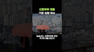 신혼 버팀목대출 기준 상향도 취소…&quot;왜 서민 전세대출 줄이나&quot; 부글