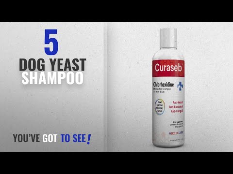 top-5-dog-yeast-shampoo-[2018-best-sellers]:-curaseb-antifungal-&-antibacterial-chlorhexidine