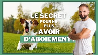 Le secret pour ne plus avoir d'aboiement !