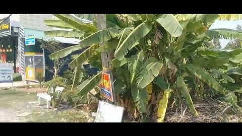 Bán đất thổ cư xã Thạnh Đức  huyện Bến Lức tỉnh Long An