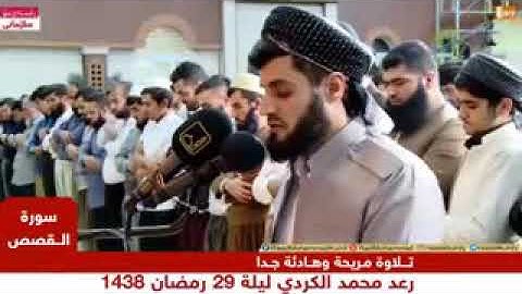 قرآءة خيالية بالهدوء والخشوع ما تيسر من سورة القصص للشيخ رعد الكردي