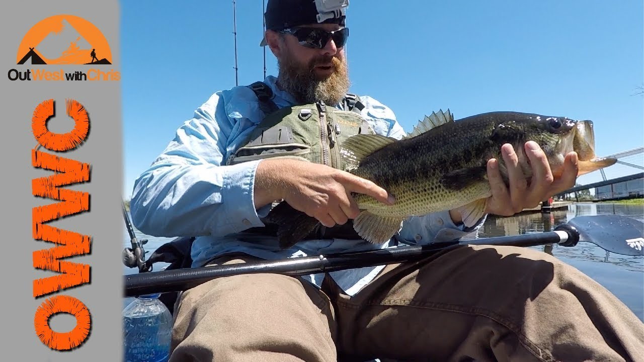 Looking for a Bite - Frank's Tract Kayak Fishing