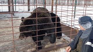 Самоеды в Мишкиной Берлоге. Корюшка