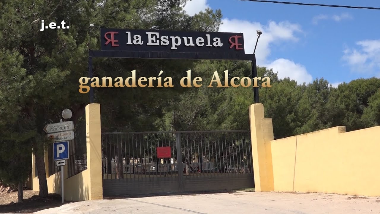 LA ESPUELA, GANADERÍA DE ALCORA