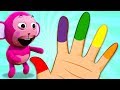 Finger Family Collection : Colors Finger Family Song + More Kids Songs by Nursery Rhymes Street