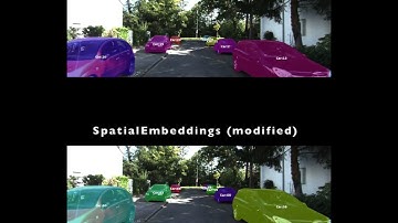 Instance segmentation and tracking based on Spatial Embeddings