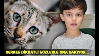 Kedi Gozlu Cocuk Gece Karanliginda Da Goruyor Youtube