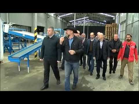 ციტრუსის გადამამუშავებელი საწარმოები აჭარაში