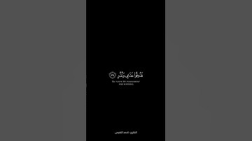 سورة القمر من ٣٧ الي ٤٢