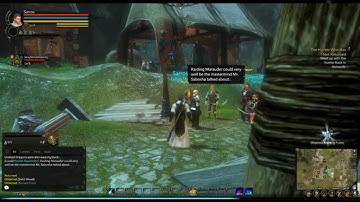 Level 1 to 20: Dragon