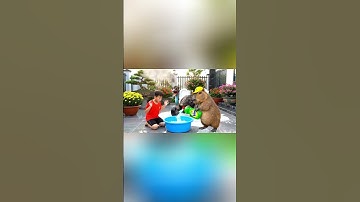Capybara cùng anh giúp bà tắm Trenostruzzo Turbo và cái kết #capybara