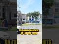 un therian chanchito no lo puedo creer #humor #comedia #therian