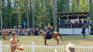 Great Lakes Medieval Faire 07/19/2025
