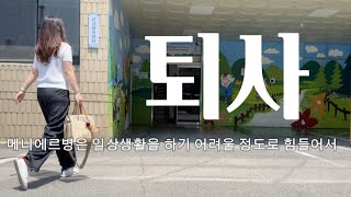 8년동안 다니던 평생직장을 퇴사하였습니다. 저 이제 뭐 할까요? #퇴사브이로그 #메니에르투병기 #메니에르병 #퇴사