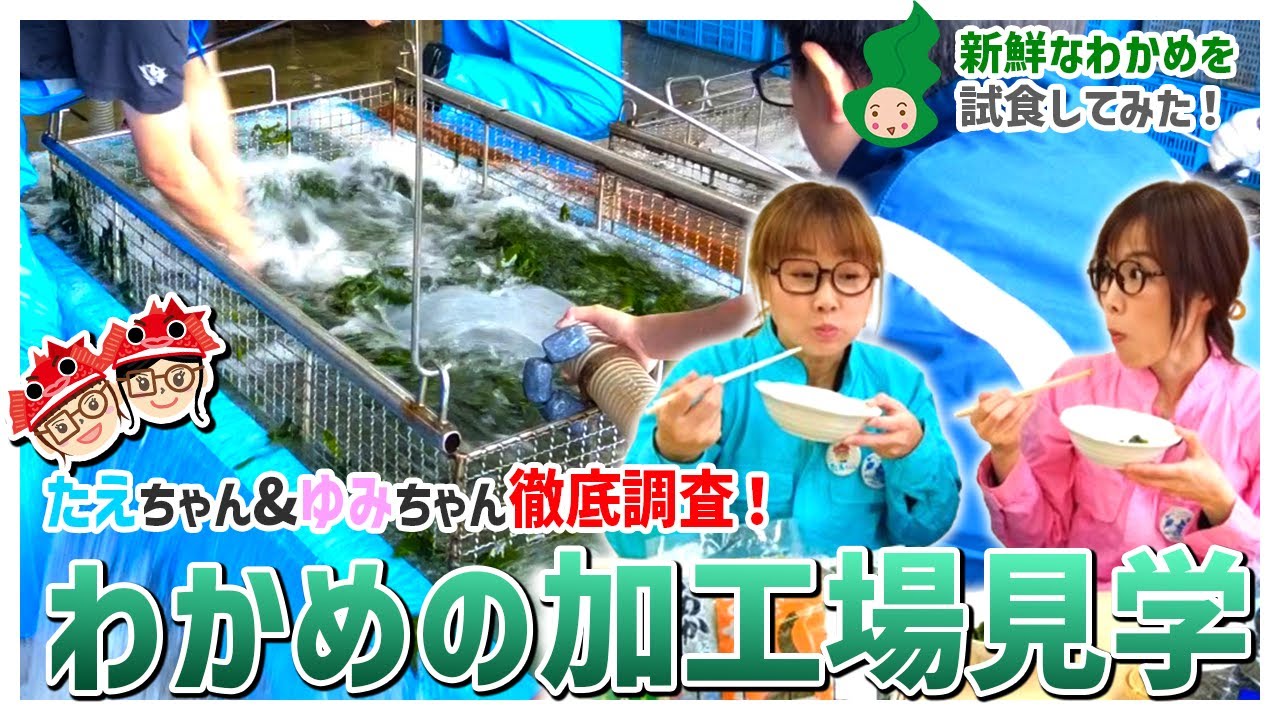 【宗像市】わかめの加工場を見学して新鮮なわかめを食べてみた🎵