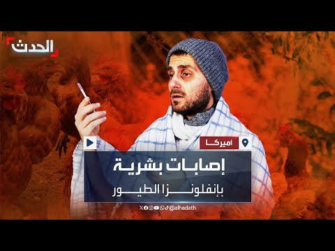 بعد ثبوت إصابة 3 عمال بإنفلونزا الطيور أميركا تبحث عن أسباب الانتشار الكبير