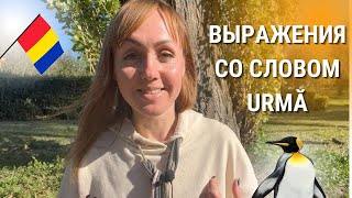 Выражения со словом Urmă