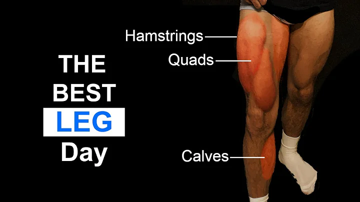 💪 La meilleure journée des jambes pour des muscles d'acier