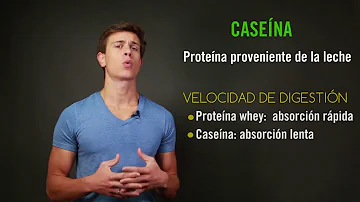 ¿Hay caseína en la nata?