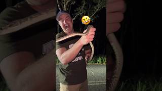 What I Found At Night Driving In Australia 