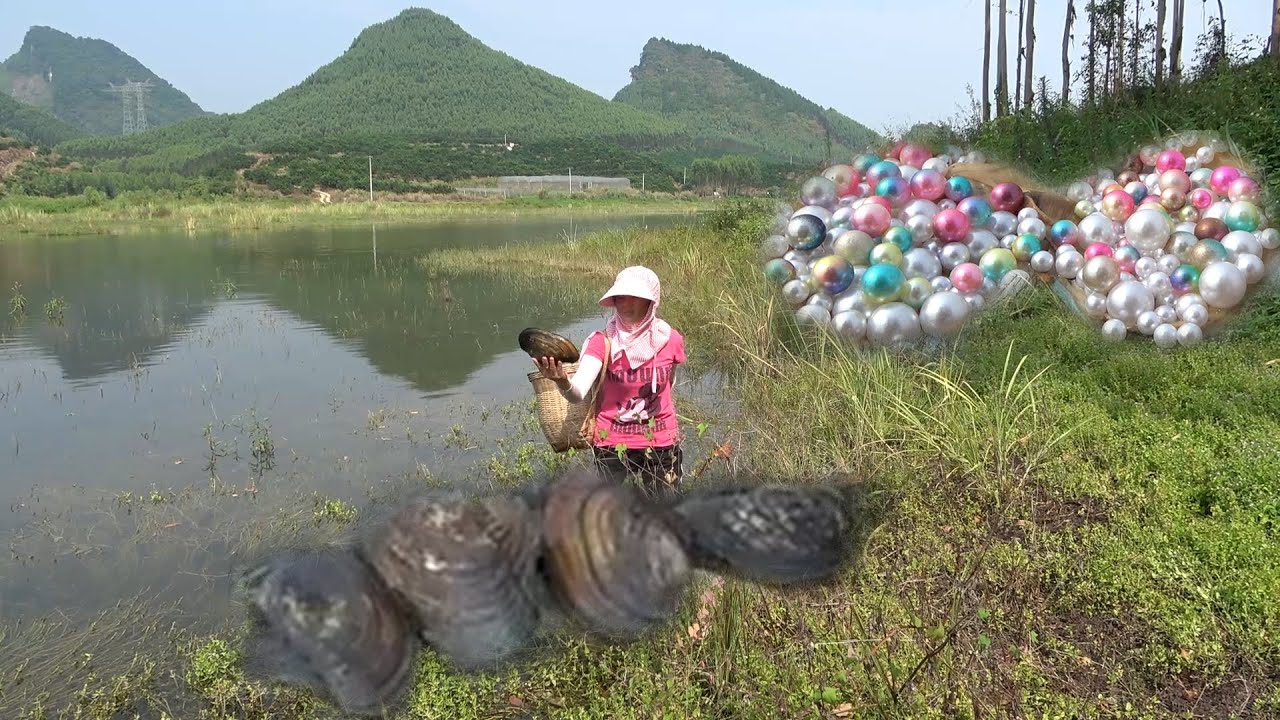 Pearl hunter/I was picking shells in the swamp, freshwater pearls are
