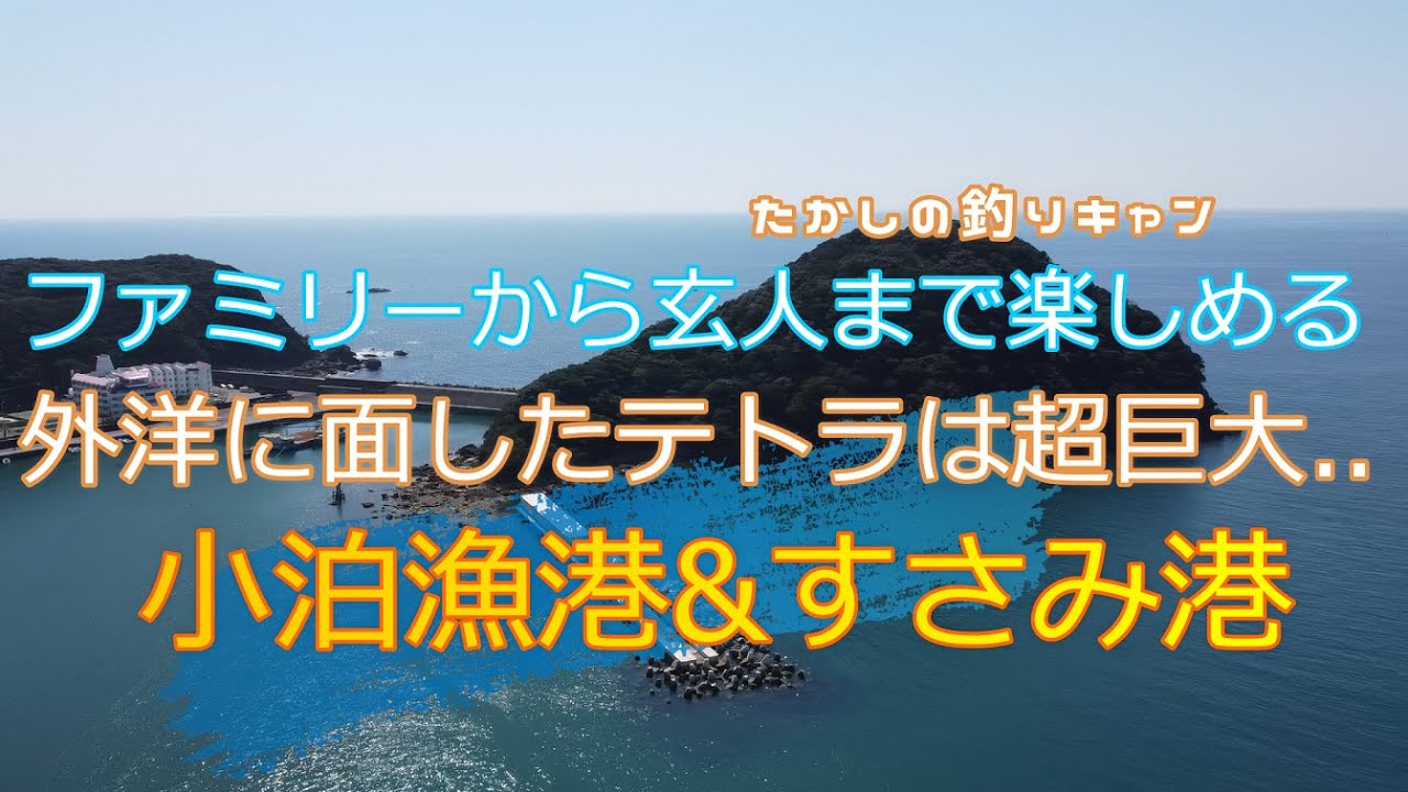 南紀すさみ町すさみ港  外向きテトラはお化けサイズでアクセス困難が残念だが、比較的大きめの漁港はグレ、チヌ、カマス、ヘダイ、アジ、アオリイカ、青物の回遊もあり魚種豊富です。