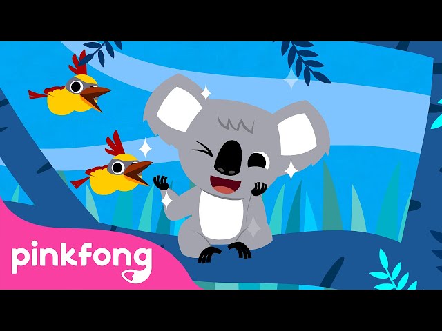 Aku Koala-la-la-la | Lagu Binatang | Kartun & Lagu Anak | Pinkfong dan Baby Shark class=