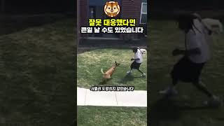 통제를 벗어난 말리노이즈, 한 남자의 대처