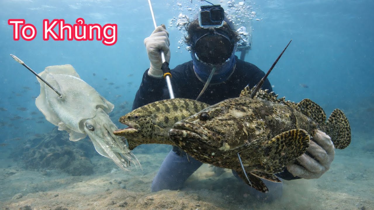 Bất Ngờ Những Góc Chà Cụ Lâu Năm Toàn Cá Mú, Mực Nang To Khủng - P5