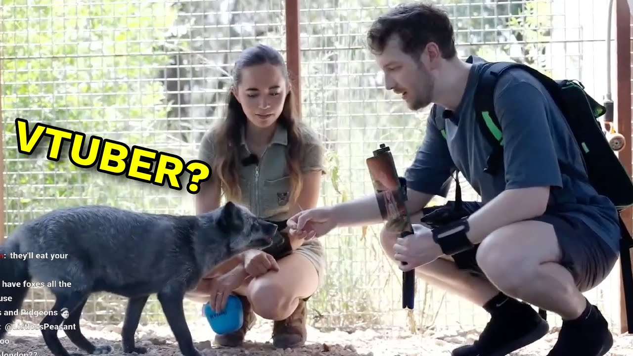 Fenn The Fox Got Absolutely Terrified Of IronMouse