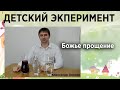 Эксперимент для детей "Бог прощает грехи" | Детская проповедь | Александр Антонов