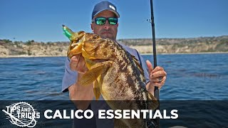 Calico Tricks & Tips with Erik Landesfiend