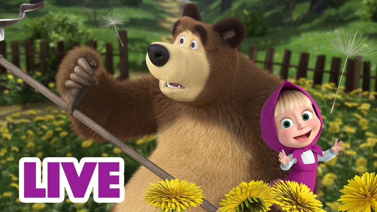 🔴 Live Stream 🎬 Masha And The Bear 😀 Fun Fact 💡 ️ Youtube 