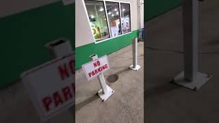 Pup Cash From Milliemayhem Litter