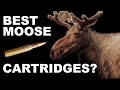 Best moose hunting cartridges