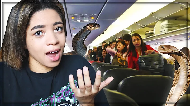 Snakes Got Loose On The Plane (storytime)