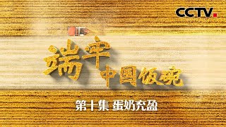 纪录片《端牢中国饭碗》 第10集 蛋奶充盈 | CCTV「端牢中国饭碗」